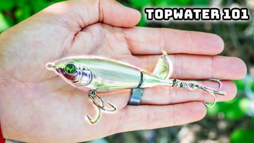 Learn To Fish Topwater Lures In 2024! (Success Guaranteed)