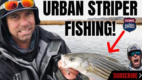 Urban Fishing at its BEST!!