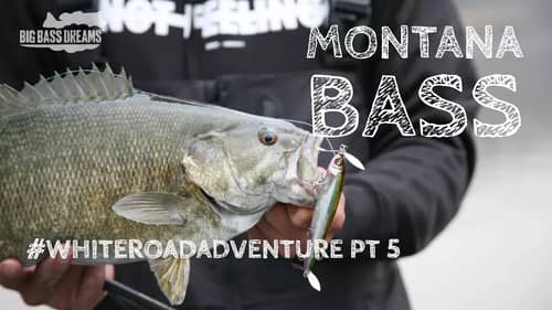 Monster Bass in Montana - The White Road Adventure Part 5