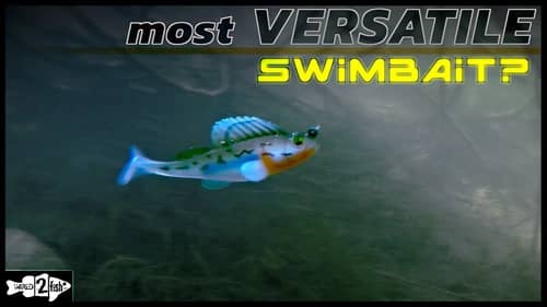 The Ultimate Swimbait for Fishing Bass on the Bottom