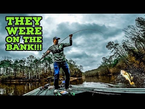 I Couldn't BELIEVE How SHALLOW I Caught These WINTER BASS!!!