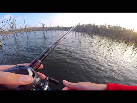 Fishing In a Flooded Forest
