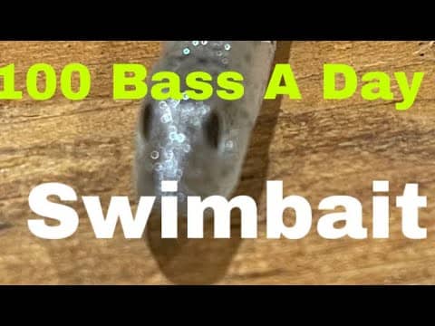 The Finesse Summer Swimbait That Produced Two, 100+ Bass Days For Me…