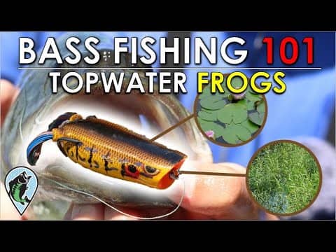 Beginner's Guide to Frog Fishing For Bass | Bass Fishing 101 Instruction (When, Where, Why, How)