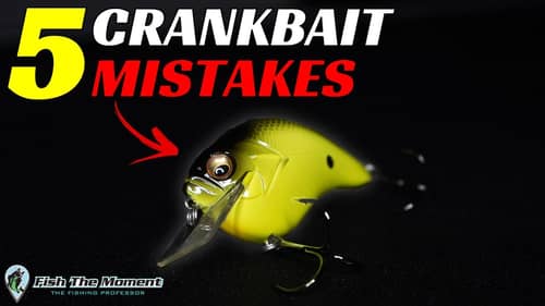 Avoid These Squarebill Crankbait Mistakes AT ALL COSTS