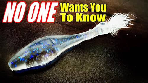 NEW Baits NO ONE is Telling You About - Because they WORK