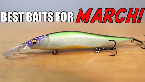 Top 3 BAITS for MARCH Bass Fishing!