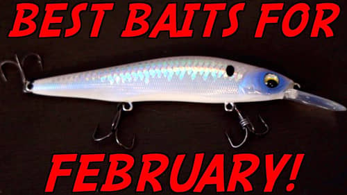YOU Can't Beat These 3 FEBRUARY Lures!