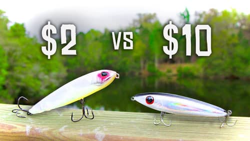 CHEAP vs EXPENSIVE Topwater Fishing CHALLENGE!!! (HUGE BASS)