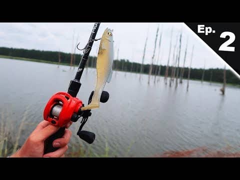 Fishing HUGE Pond For MASSIVE Bass Ep. 2 (Record Day)