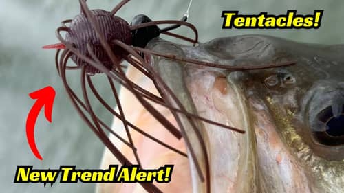 New Trend Alert! Are These Tentacled Creatures Here To Stay?