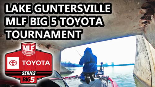 MLF BIG 5 TOYOTA TOURNAMENT! FISHING FOR $50,000! (LAKE GUNTERSVILLE)