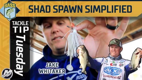 Simplifying Shad Spawn baits with Jake Whitaker