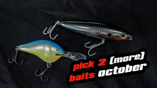 Pick 2 (More) Baits October