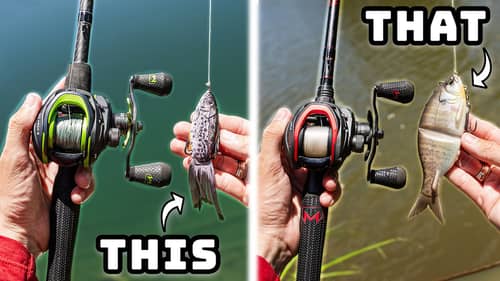 Beginners Guide To BETTER Lures For Bank Fishing This Summer!