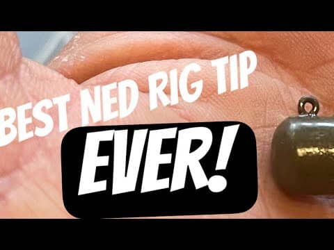 CATCH 10x More Bass With This Ned Rig Modification…