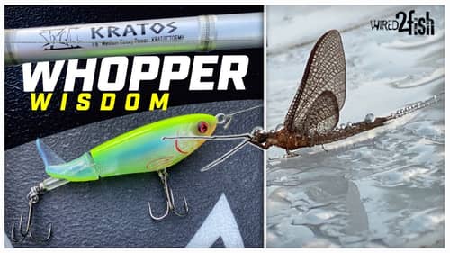 6 Whopper Plopper Tips for Bass Fishing Success