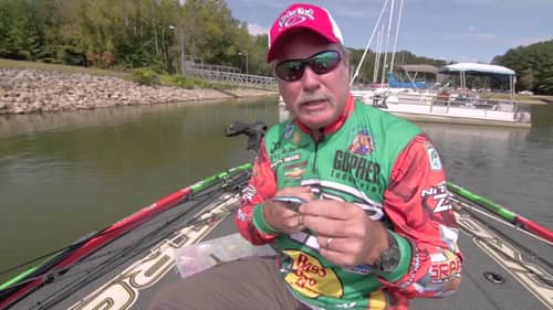 A Fishing Tip for Lipless Crankbaits in Grass