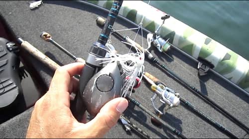 Fishing Rod Arsenal with LakeForkGuy