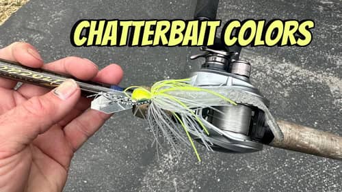 You Guys Are Probably Using The Wrong Chatterbait Colors…