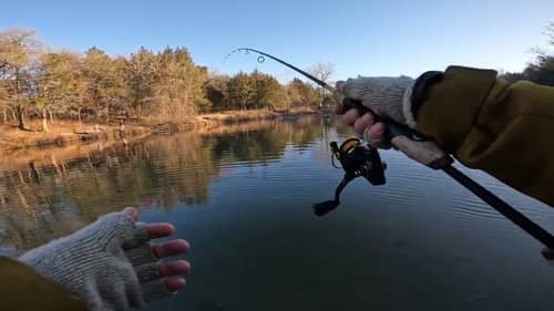 Crappie Camp to Trout Stream with 1 Fishing Rod