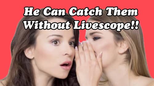 Why Women Are Attracted To Guys That Don’t Use Livescope…