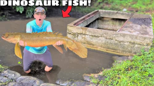 Catching PREHISTORIC Dinosaur Fish in the SEWER!