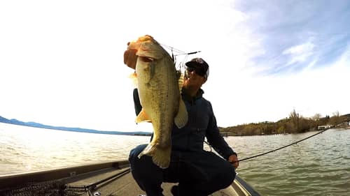 Alabama Rig + Big Bass = Spring Bass Fishing Fun!
