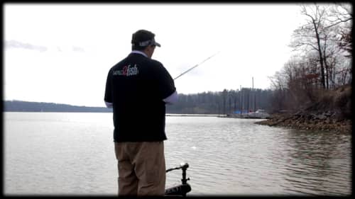 Fishing Casting Jigs | Part II