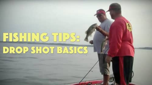 How to Get Started Drop Shot Fishing for Bass