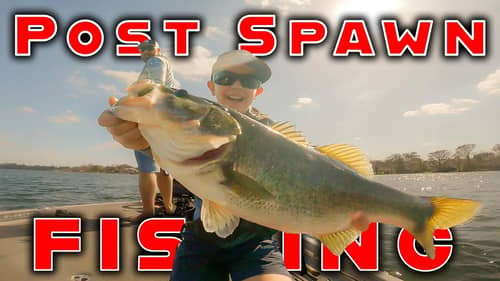 Fishing Isolated Grass For Post Spawn Bass ( Florida Bass Fishing )