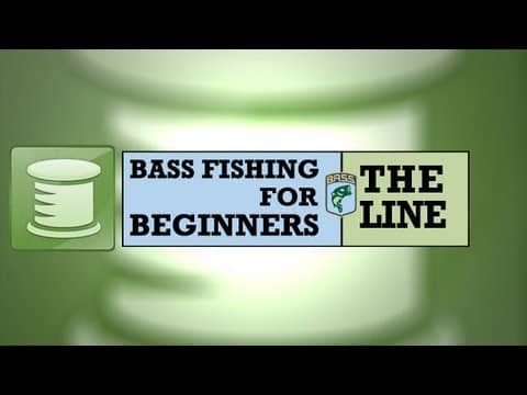 Bass Fishing for Beginners:The Line