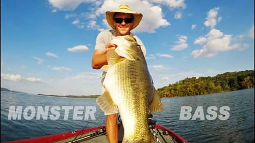 SECRETS to Catch MONSTER BASS in the Summer to Fall Transition!