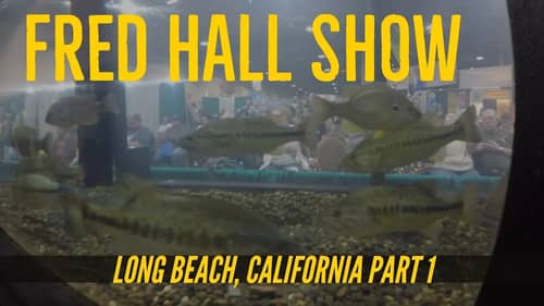 Fred Hall Show Long Beach Part 1 w/ Kicker Jigs & Bobby Barrack