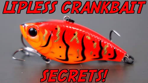 Why You NEED TO Fish a Lipless Crankbait This Spring!
