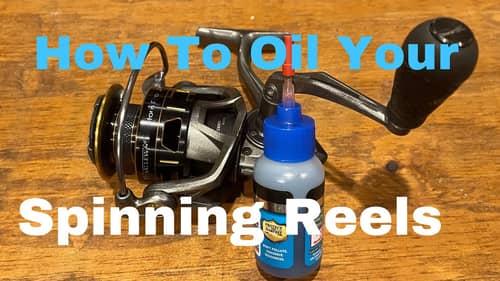 How To Correctly Oil Your Spinning Reel