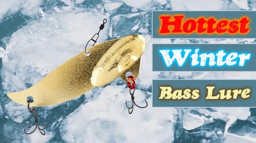 Winter Bass Fishing Lure Catches EVERYTHING!