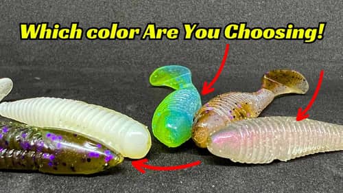 These Are The Only Swimbait Colors You Need! Stop Spending So Much Money On Others!