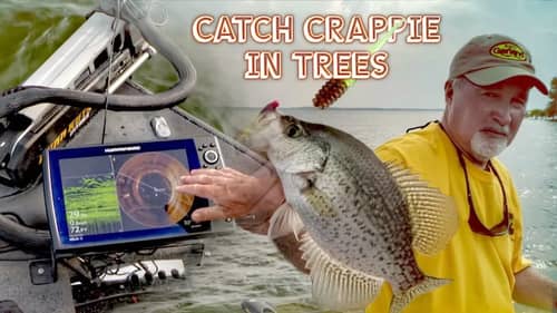 Finding and Catching Crappie in Trees