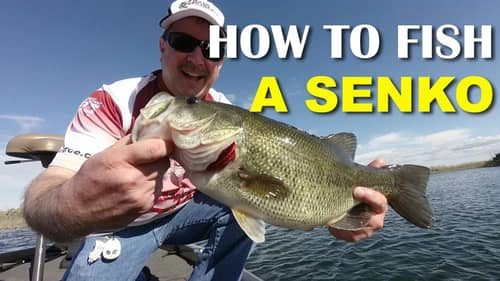 How To Fish A Senko | Bass Fishing