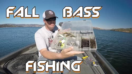Bass Fishing: Best Baits for the Fall Transition