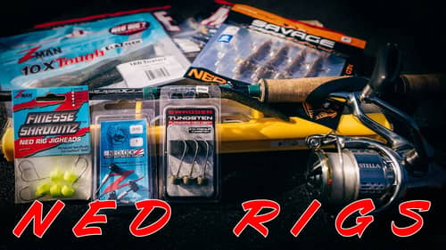 BUYER'S GUIDE: NED RIG - BAITS, HOOKS, AND RODS FOR NED RIGGING!