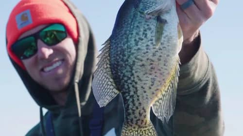 Big Crappie Dreams in Texas with JayGoneFishin!
