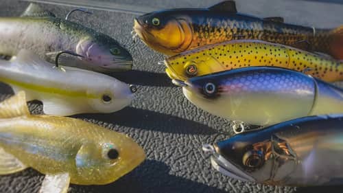 Spring Swimbait Fishing:  Everything You Need To Know