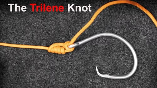 How to Tie the Trilene Knot