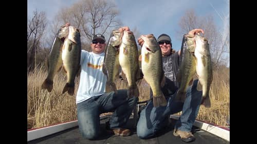 Monster Limit on the River2Sea S-Waver