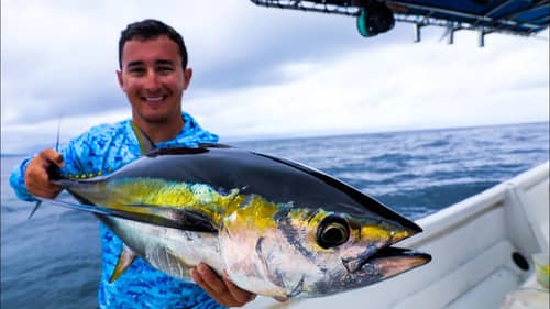 Catching Big Tuna Off Rocky Islands