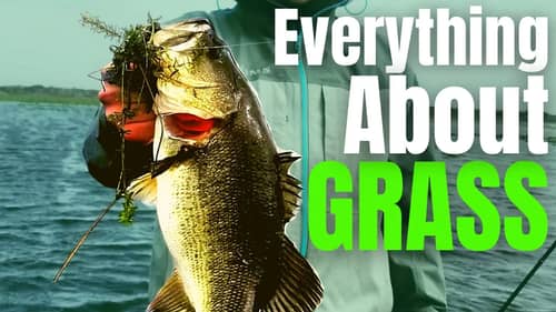BASS Fishing GRASS // Milfoil, Coontail, Hydrilla & Eelgrass Fishing (The #1 COVER For Big Bass)