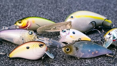 Crankbait Tricks For Late Summer And Early Fall!