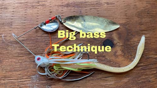 The BEST Technique For Huge Bass In The Spring…